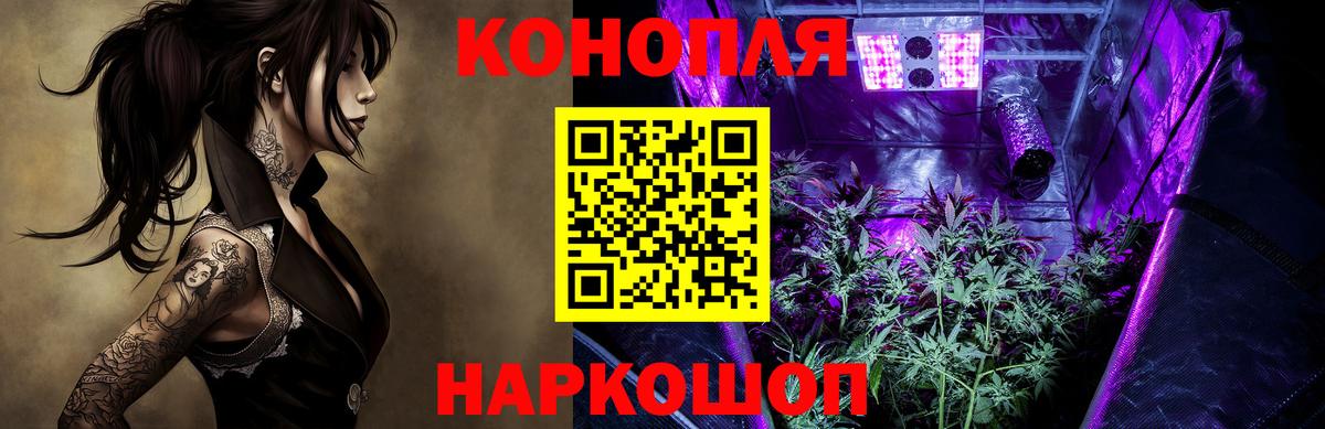 Конопля план Химки