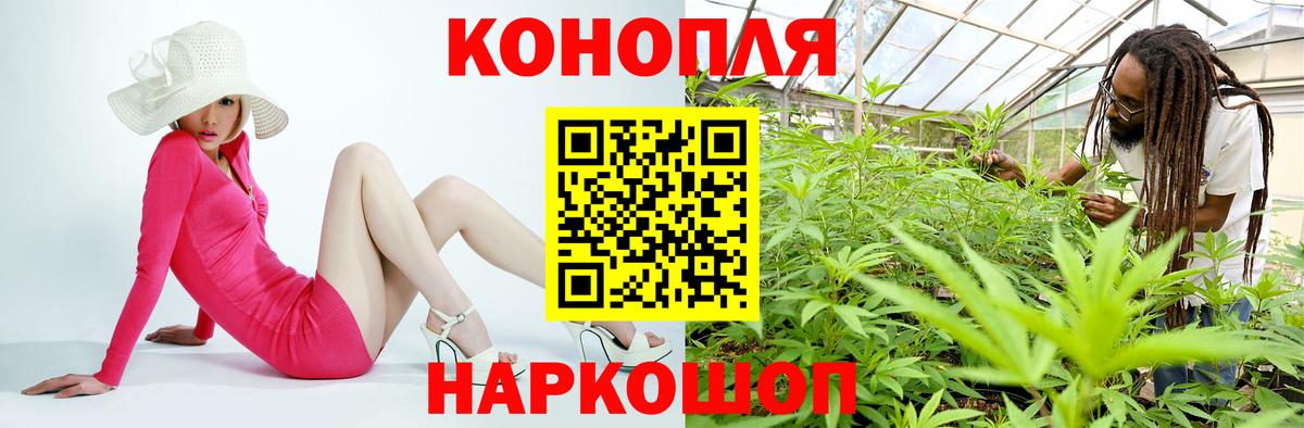 Шишки марихуана ГИДРОПОН  Конопля марихуана  Канабис OG Kush  Химки  Вход с VPN  Конопля SATIVA & INDICA 